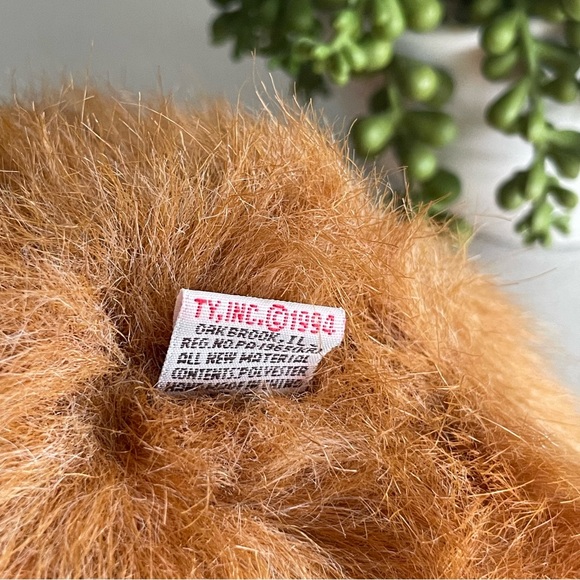 Ty Tango - Picture 8 of 9